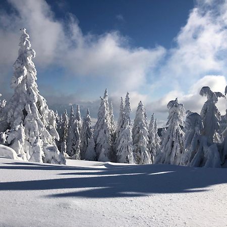 Chata Martin Martinske Hole Villa Exteriör bild